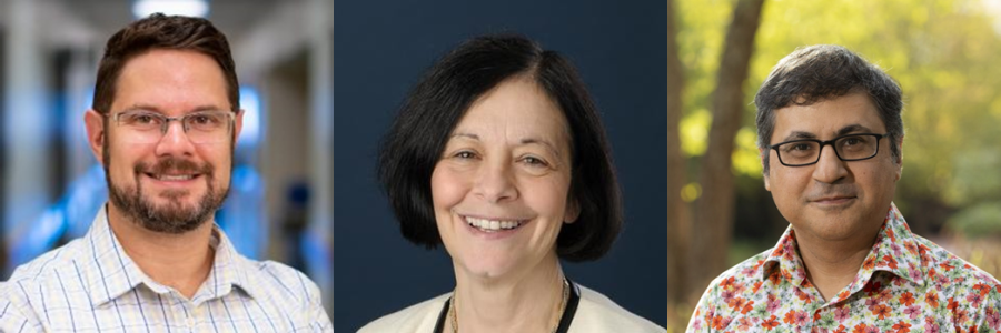 Cider option awardees