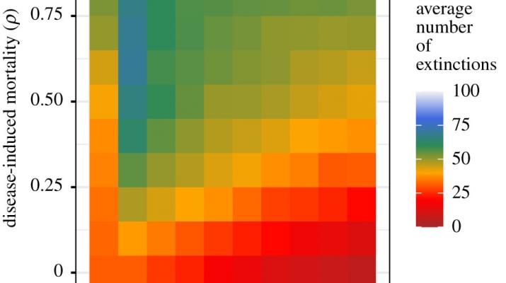 Transmission models indicate Ebola virus persistence in non-human primate populations is unlikely