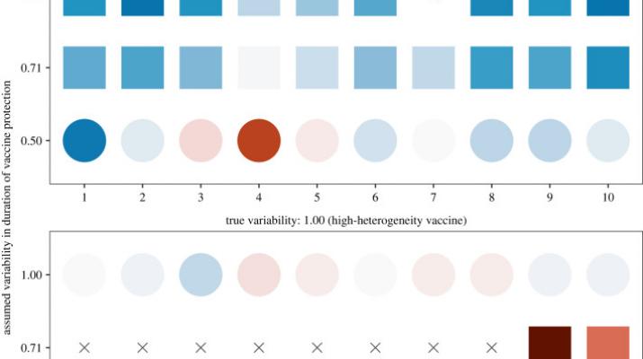 Immunological heterogeneity informs estimation of the durability of vaccine protection