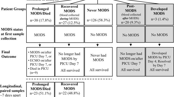 Transcriptomic profiles of multiple organ dysfunction syndrome phenotypes in pediatric critical influenza