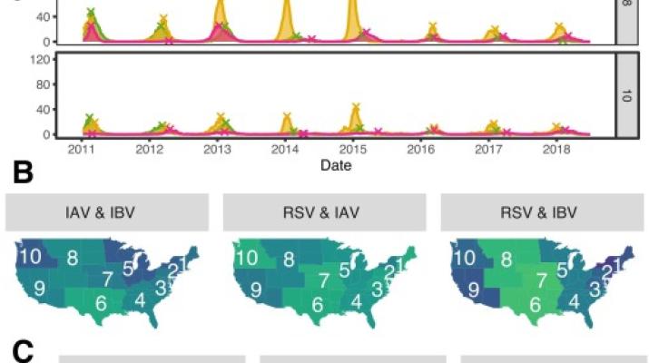 Characterizing potential interaction between respiratory syncytial virus and seasonal influenza in the U.S.