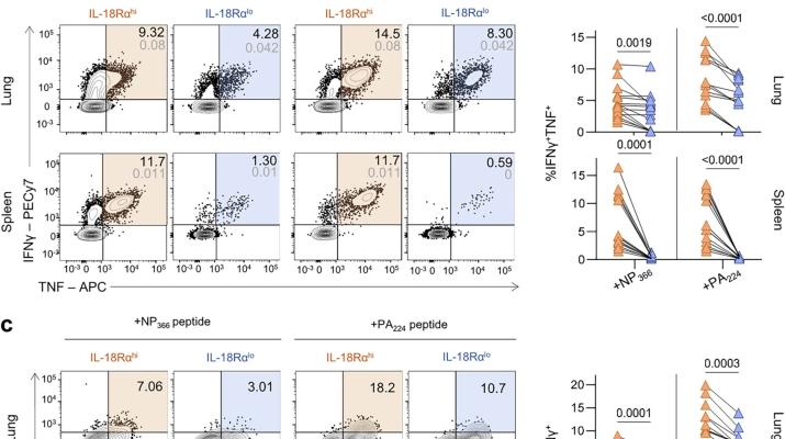 High expression of interleukin-18 receptor alpha correlates with severe respiratory viral disease and defines T cells with reduced cytotoxic signatures
