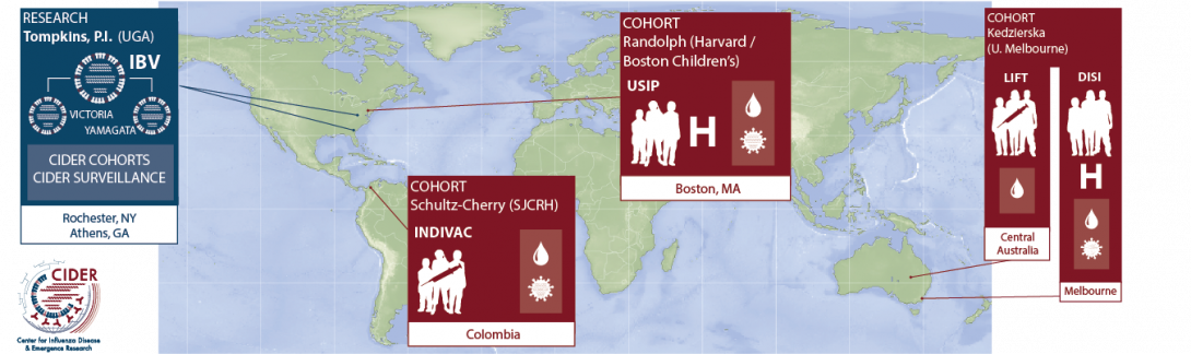 CIDER Teams